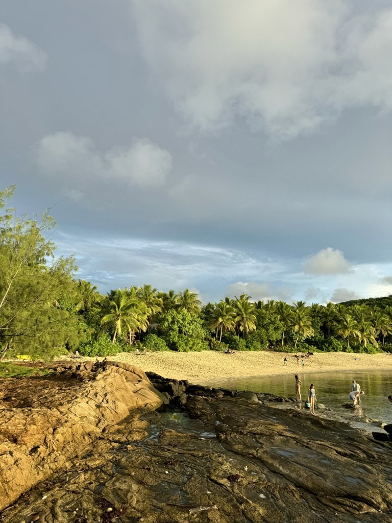 fiji views