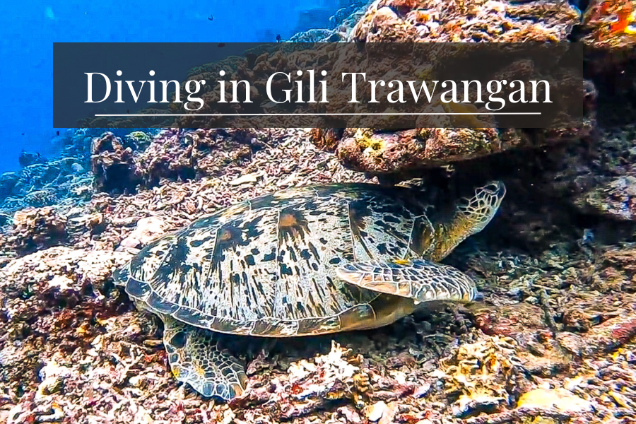 diving in gili trawangan